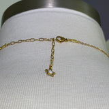 Gold plated crystal star adjustable stainless steel DIVINELY GUIDED rhinestone compass necklace